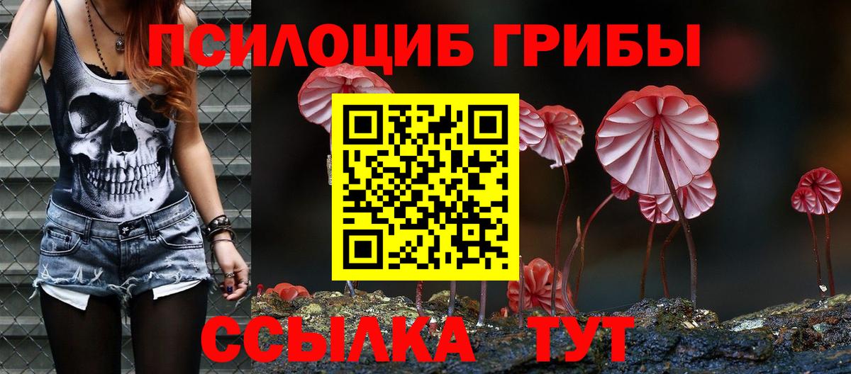 Псилоцибиновые грибы прущие грибы Наро-Фоминск